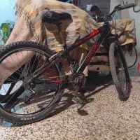 دوچرخه حرفه ای ویوا|دوچرخه، اسکیت، اسکوتر|گنبد کاووس, |دیوار