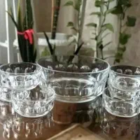 آجیل خوری عینکی فرانسه