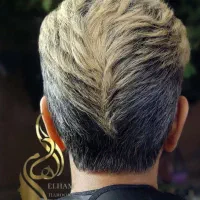 آموزش کوتاهی حرفه‌ای و موخوره گیری|خدمات آموزشی|خمینی‌شهر, |دیوار