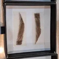 اجرا و آموزش پروتز ابرو با موی طبیعی