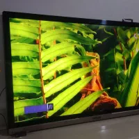 ۴۳ اینچ اسنوا|تلویزیون و پروژکتور|کوهدشت, |دیوار