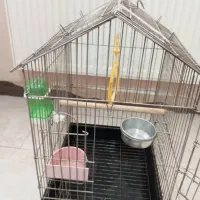 قفس طوطی و عروس هلندی|لوازم جانبی حیوانات|شهریار, شهریار|دیوار