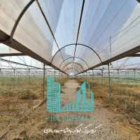 ۹ هزار متر گلخانه/سند تک برگ/ فرصت خوب|فروش دفتر صنعتی، کشاورزی، تجاری|قرچک, پارس سرام|دیوار