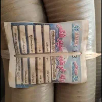 لوله خرطومی