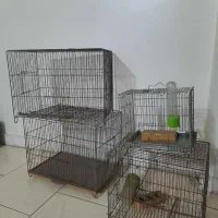 قفس سهره ،قفس قناری