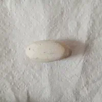 انواع گردنی سنگی|جواهرات|میبد, |دیوار