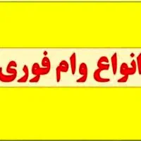 تسهیلات فوری 700میلیون تومانی