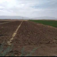 زمین ۱۰۰۰ متری مناسب باغ در شهرک ماهیدشت|فروش دفتر صنعتی، کشاورزی، تجاری|کرمانشاه, |دیوار