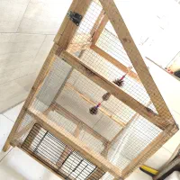 قفس چوبی دست ساز محکم