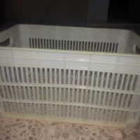 سبد  انگور