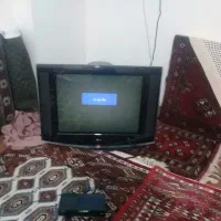 تلوزیون|تلویزیون و پروژکتور|بندر ترکمن, |دیوار