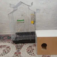 قفس با لونه بدون عروس هلندی
