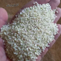 خورده برنج|خوردنی و آشامیدنی|شیراز, کوشک میدان|دیوار
