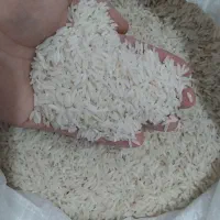 30 کیلو برنج هاشمی درجه ۱ در خشکبیجار