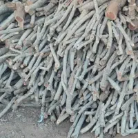 خریدار چوب پسته
