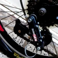 دوچرخه  ۲۰|دوچرخه، اسکیت، اسکوتر|مریوان, |دیوار