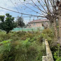 ۲۰۰ متر مسکونی روستایی|فروش زمین و ملک کلنگی|سیاهکل, |دیوار