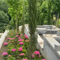 استخدام باغبان تمام وقت