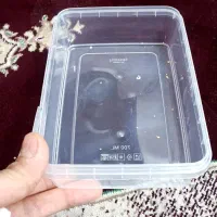 ظرف با درب بسته بندی خرما و....|ظروف نگهدارنده، پلاستیکی، یک‌بارمصرف|اهواز, فاز ۱ پادادشهر|دیوار