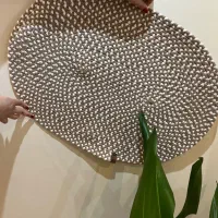 پادری نو طرح جدید بافت