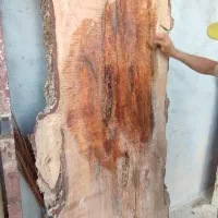 تولید انواع میزهای نهار خوری و جلو مبلی اسلب چوبی|عمده‌فروشی|بندرعباس, |دیوار