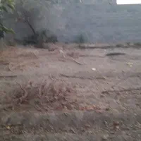 زمین-باغی-ساخت-ویلا