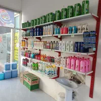 شوینده بهداشتی|مواد شوینده و دستمال کاغذی|گلبهار, شهر جدید گلبهار|دیوار