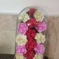 باکس گل|گل مصنوعی|قم, بنیاد|دیوار