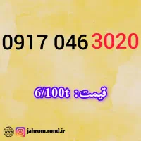 0917.046.3020