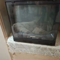 تلویزیون شهاب