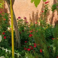 باغ ویلایی بسیار قشنگ ومفید|فروش خانه و ویلا|مشهد, لک لک|دیوار