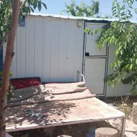 کانکس