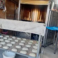 شاطر نانوایی