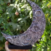 دکوری و استند