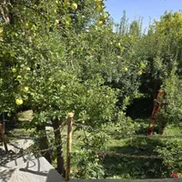 باغ 1204 متری با ویلای دوبلکس(تنگه واشی) فیروزکوه|فروش خانه و ویلا|فیروزکوه, |دیوار