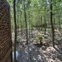 سرمایه گذاری در منطقه گردشگری پرسود|فروش خانه و ویلا|مشهد, کوی سیدی|دیوار