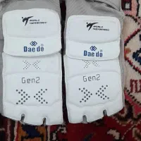 روپای تکواندو سنسوردار