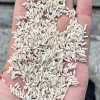 فروش برنج و نیمدانه و لاشه و ضایعات برنجی|خوردنی و آشامیدنی|گرگان, |دیوار