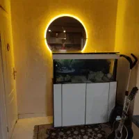 اکواریوم