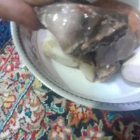 سنگ کلکسیون، برای انگشتر|کلکسیون اشیاء عتیقه|بم, |دیوار