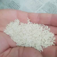 20کیلو برنج هاشمی