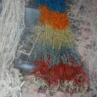 تور ماهیگیری سالیک ۴ عدد|ماهیگیری|مشهد, احمدآباد|دیوار