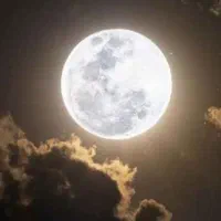 میلی گلد