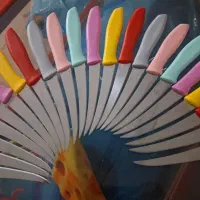 ظرف|ظروف سرو و پذیرایی|خورموج, |دیوار