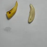 فال بصورت ویدیو و تلفنی هست بالا ویدیو فال گذاشتم|خدمات پذیرایی، مراسم|تبریز, |دیوار