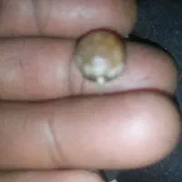 مهره قدیمی|کلکسیون اشیاء عتیقه|شیراز, کوشک میدان|دیوار