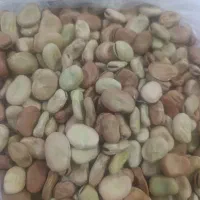 باقلا میان رس ایستا