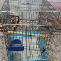 قفس پرنده عروس هلندی گرینچیک طوطی برزیلی وغیره
