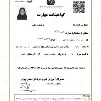 مدرک فنی حرفه ای / دیپلم کارشناسی لیسانس/سرتیفیکیت