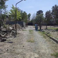 باغچه ۵۰۰ متری زیبادشت زیر قیمت|فروش زمین و ملک کلنگی|محمدشهر, زیبادشت|دیوار